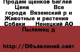 Продам щенков Биглей › Цена ­ 15 000 - Все города, Вяземский р-н Животные и растения » Собаки   . Ненецкий АО,Пылемец д.